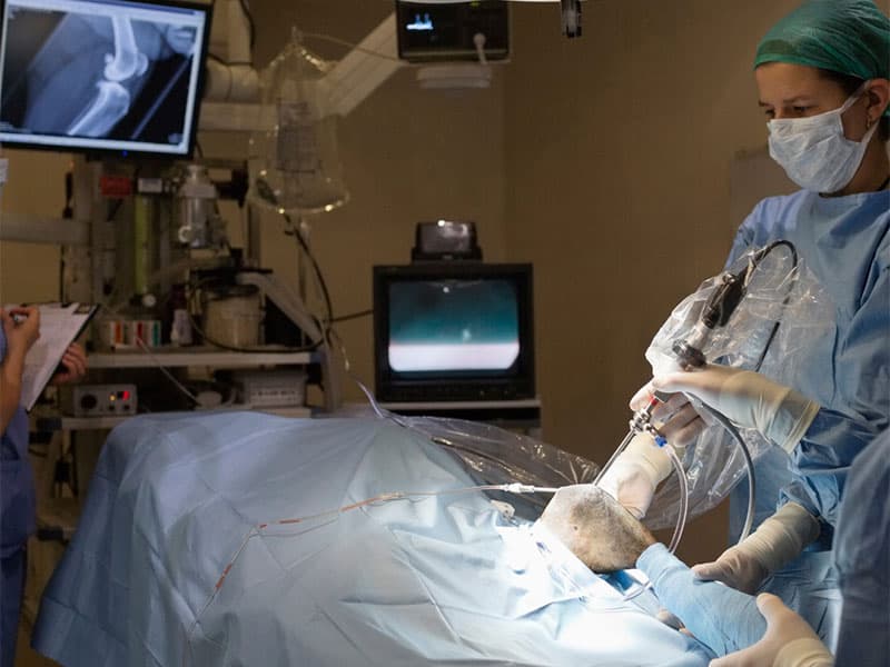 Cirurgia em andamento no centro cirúrgico da Medt